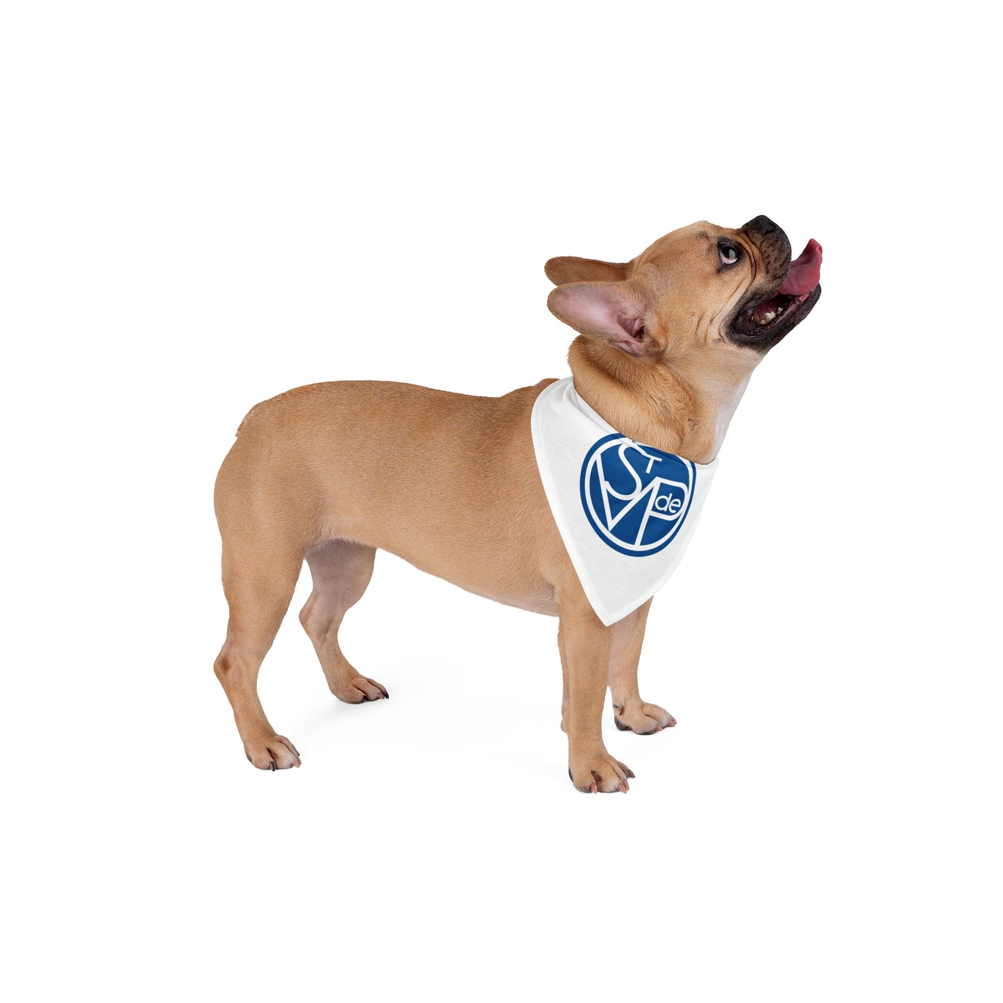 Pet Bandana