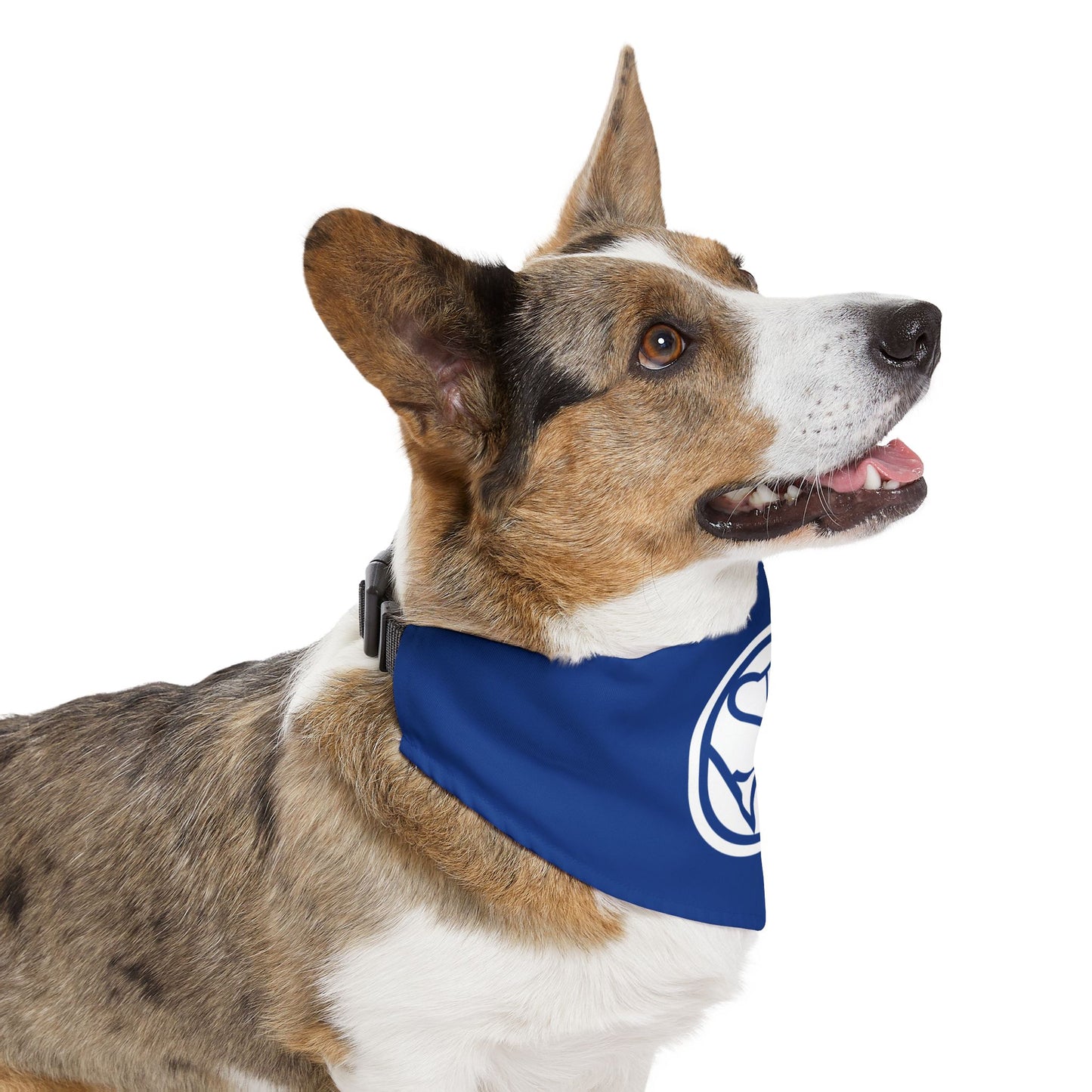 Pet Bandana Collar