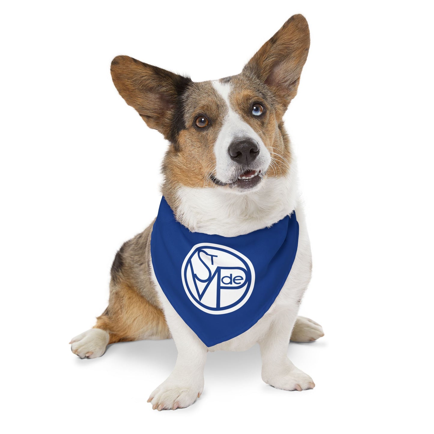 Pet Bandana Collar