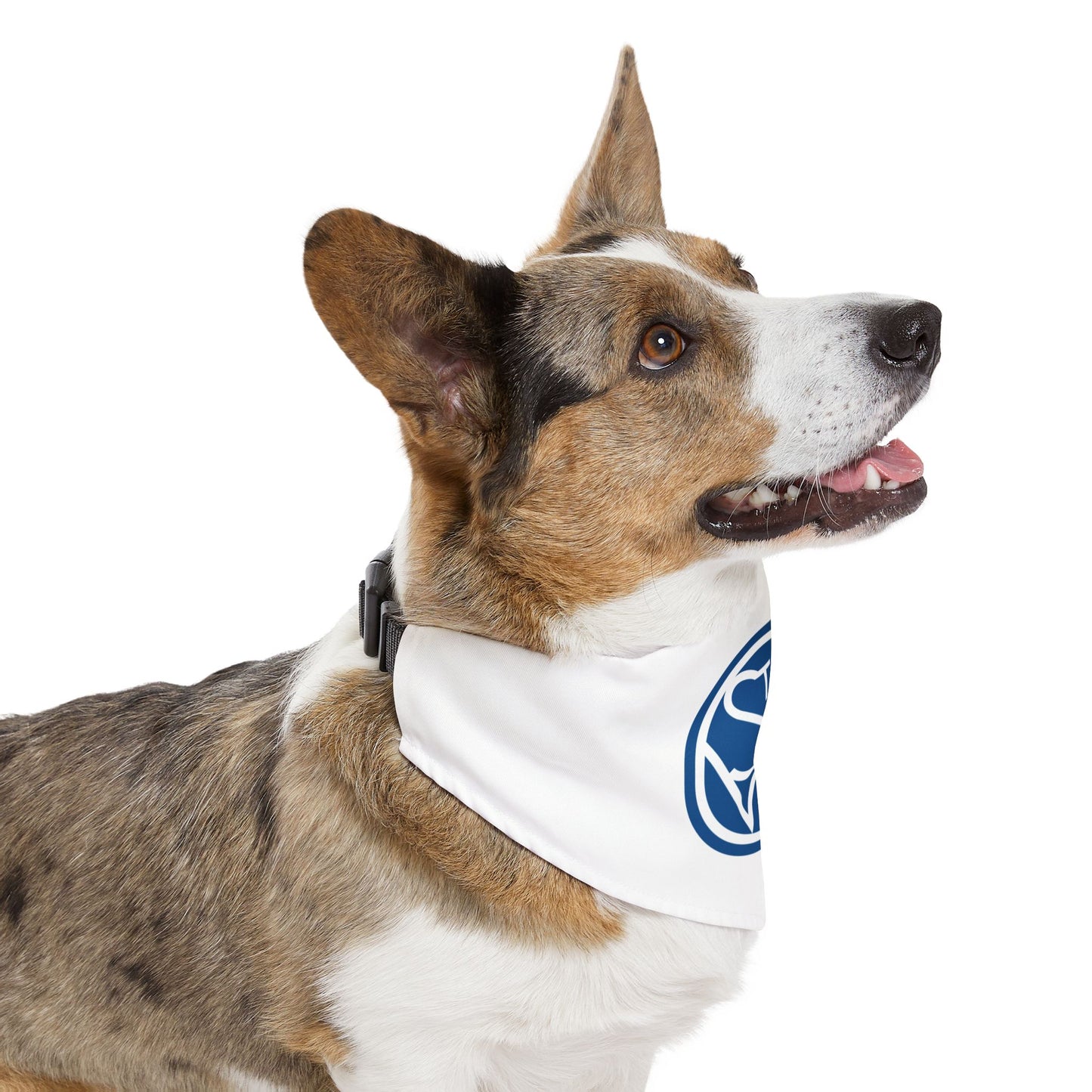 Pet Bandana Collar